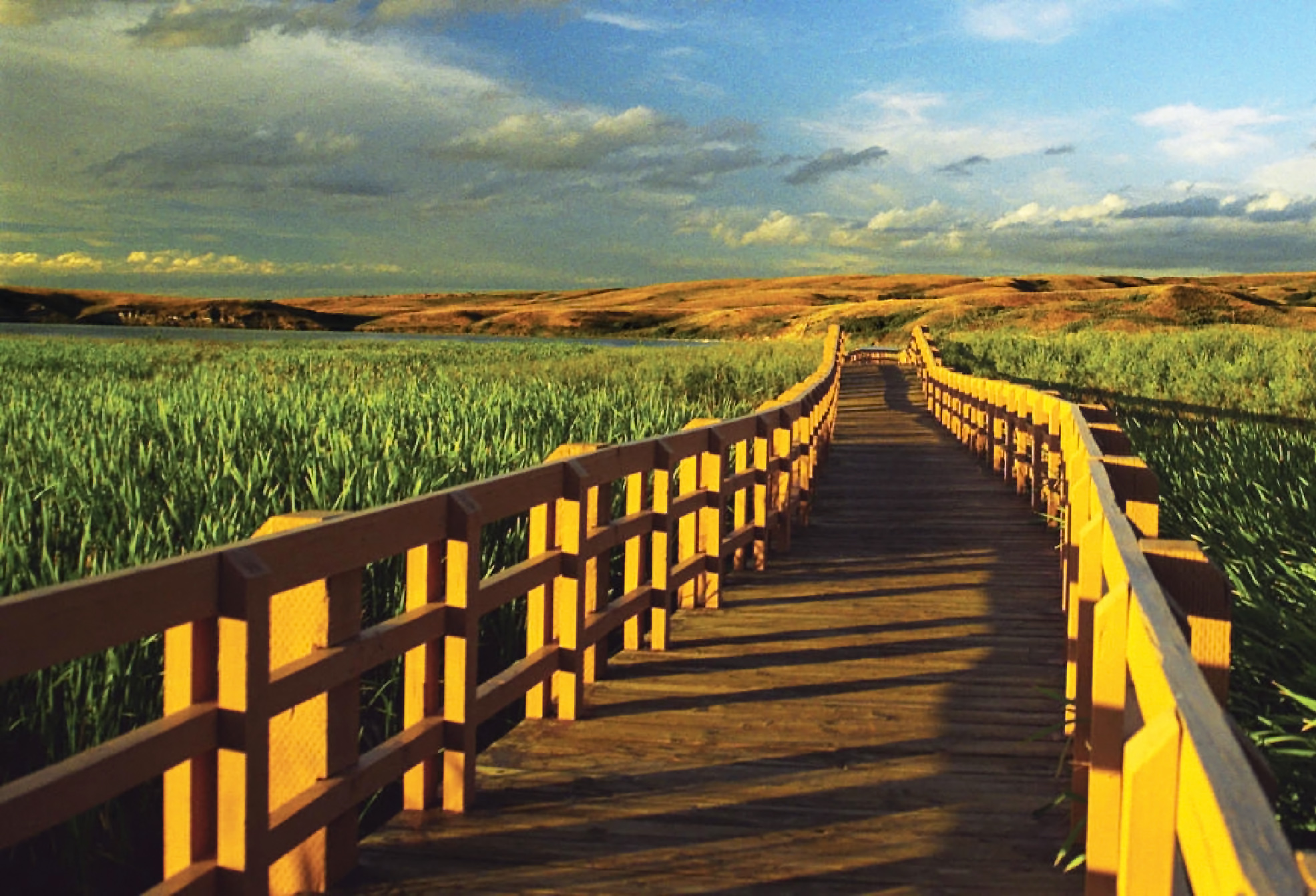 Heart, Mind & Prayer