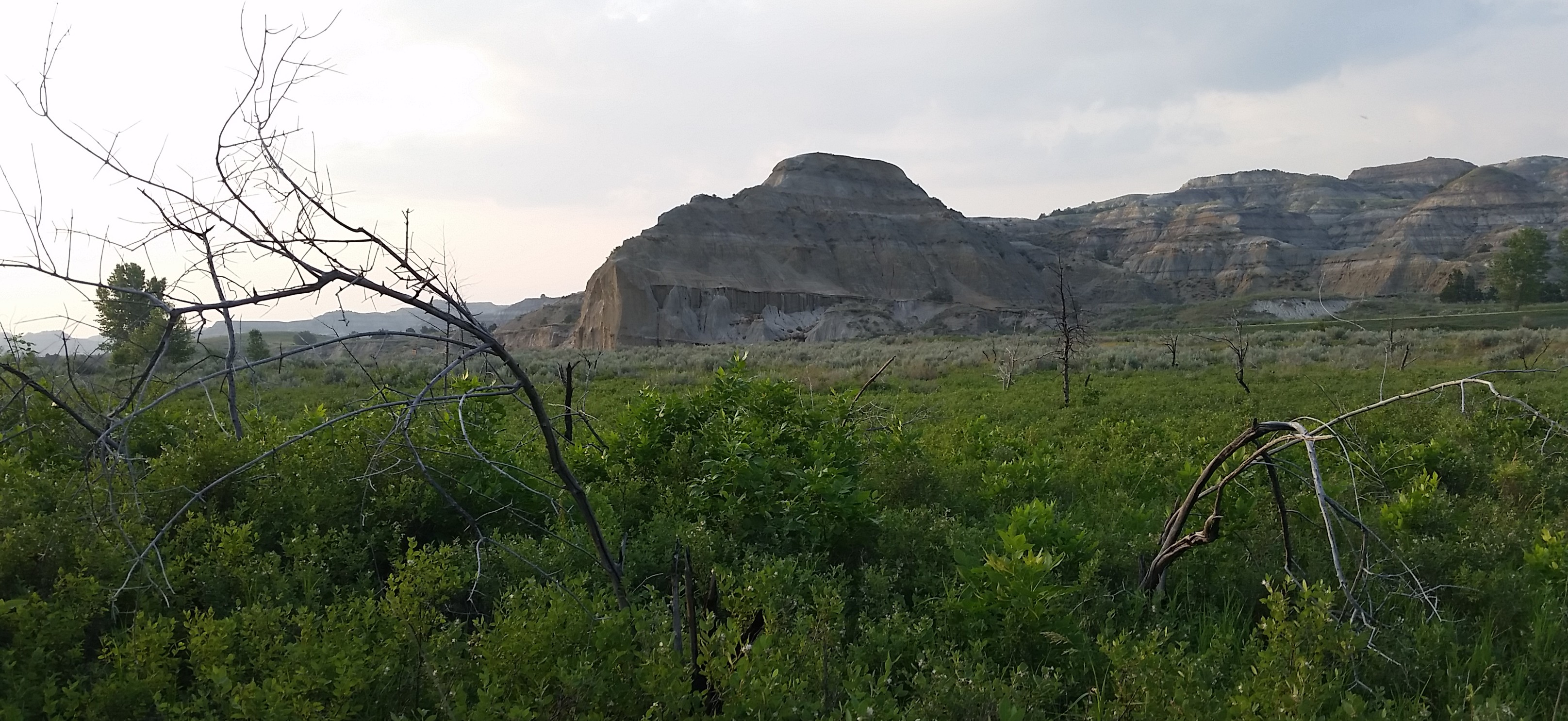 Group Spiritual Direction: What Is It?