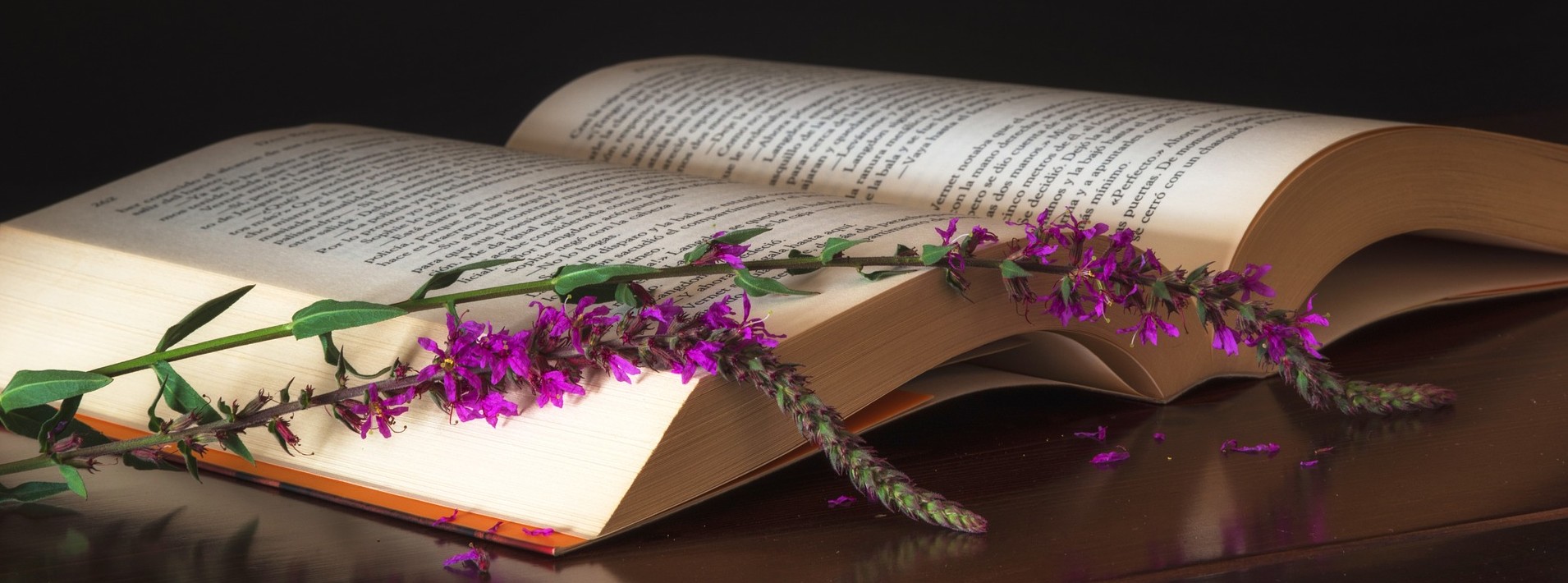 Shalem Summer Reading 2012