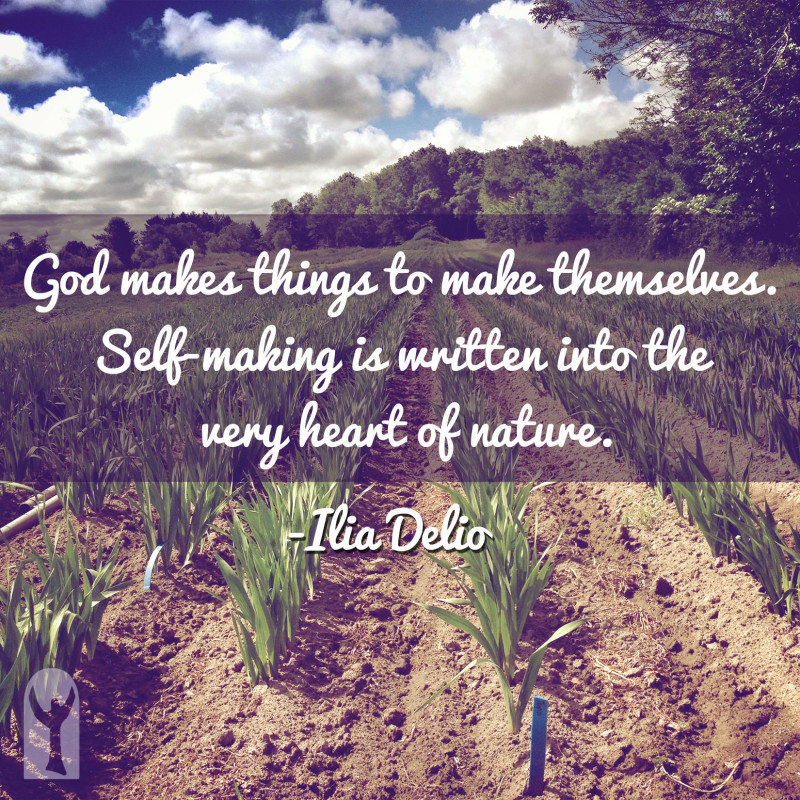 godmakesthings-delio
