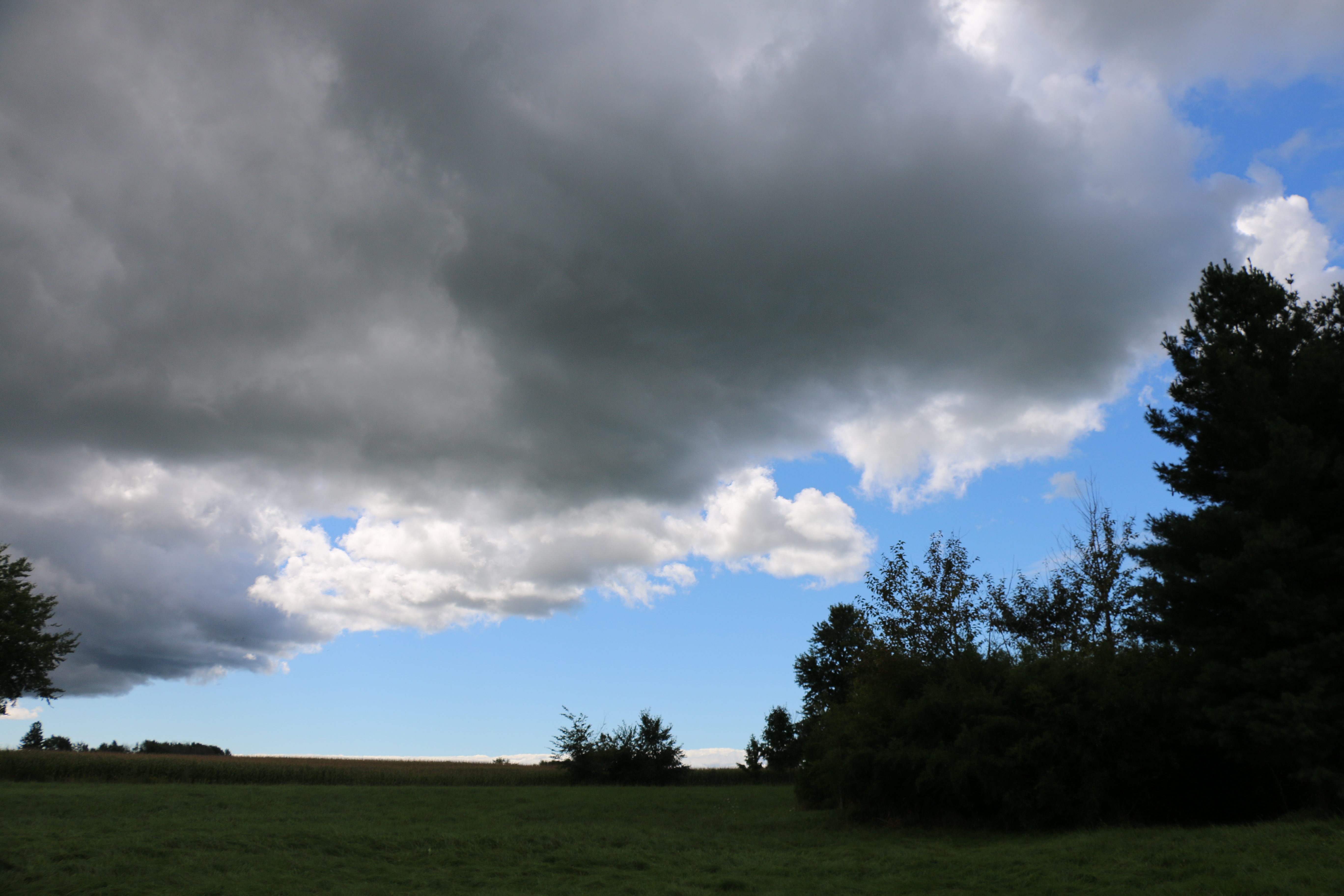 Post Election Reflections from Shalem Leaders