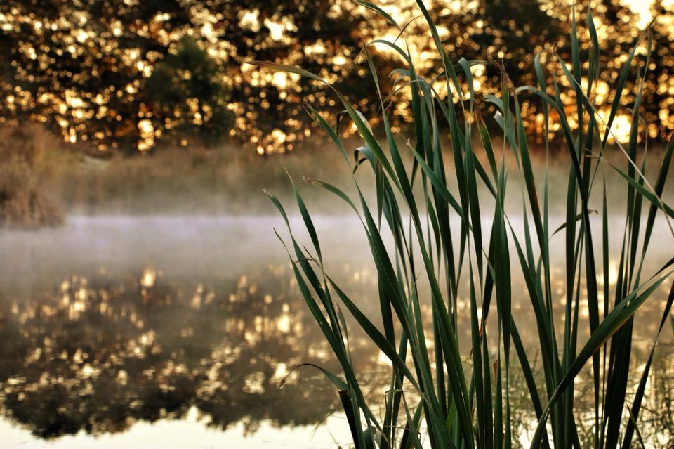 Group Spiritual Direction