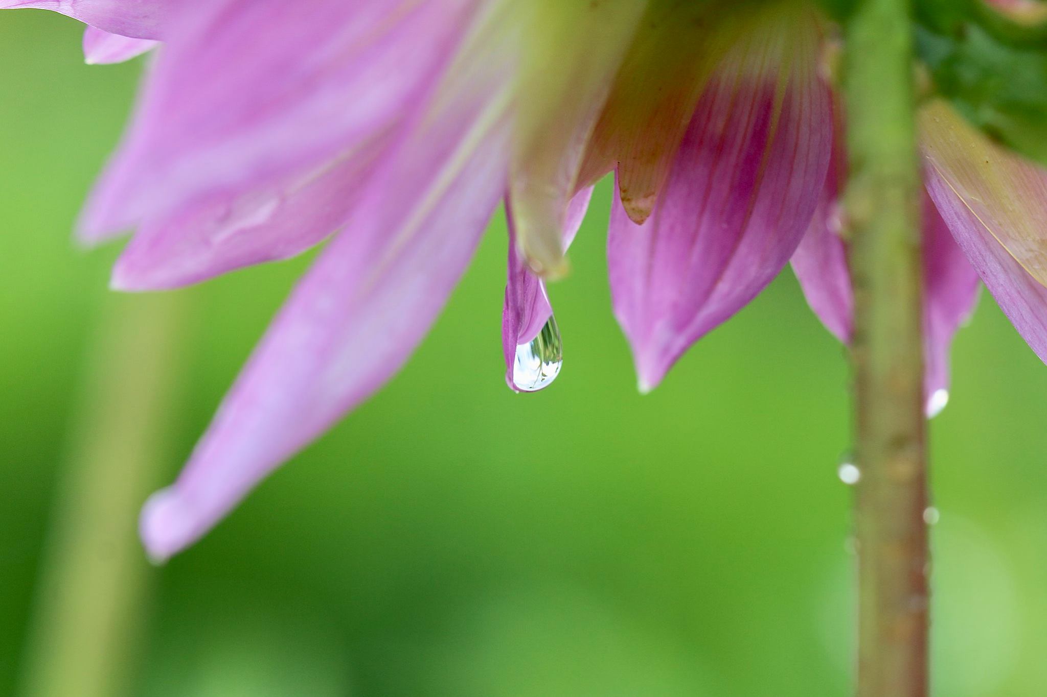 The Intimacy of Transition