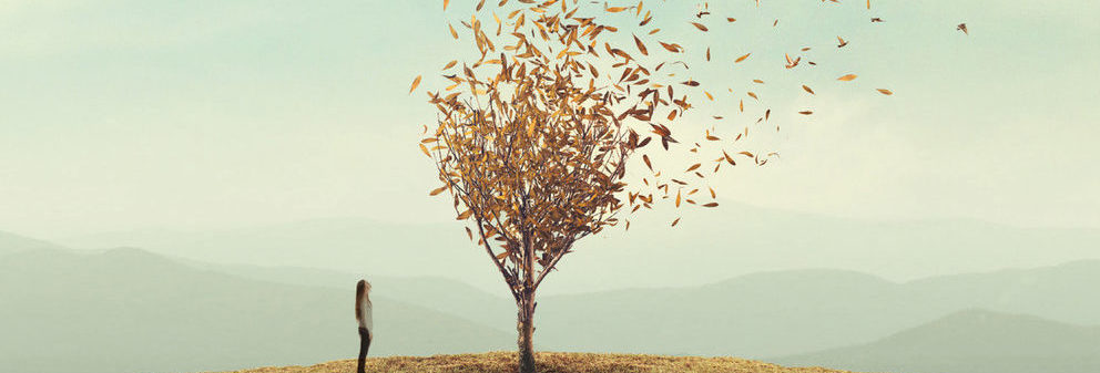 Learning To Sit With Not Knowing