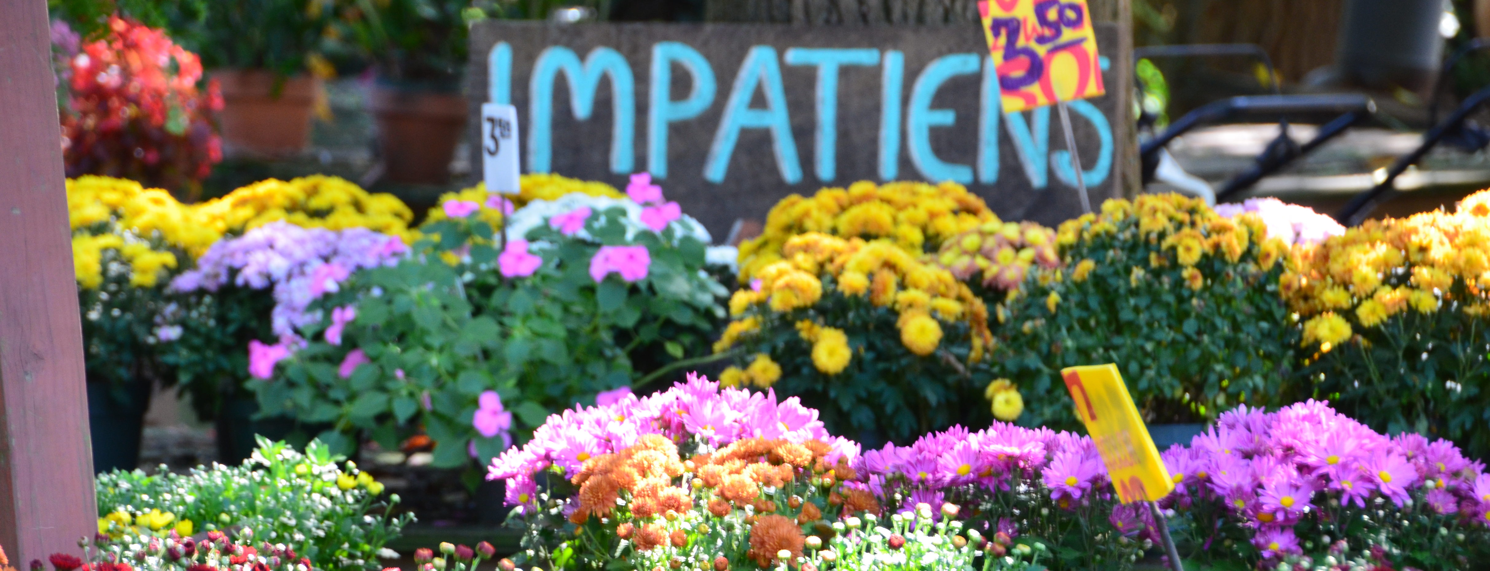Tending the Garden That is our Life