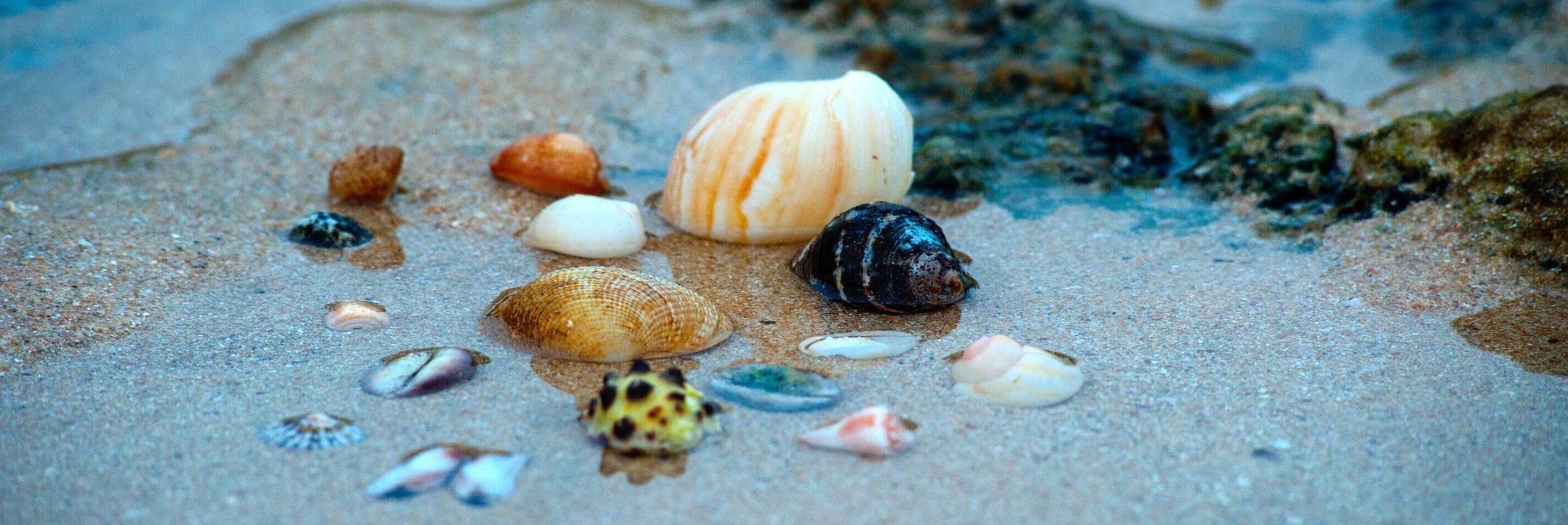 Lent: Letting Love Enter In