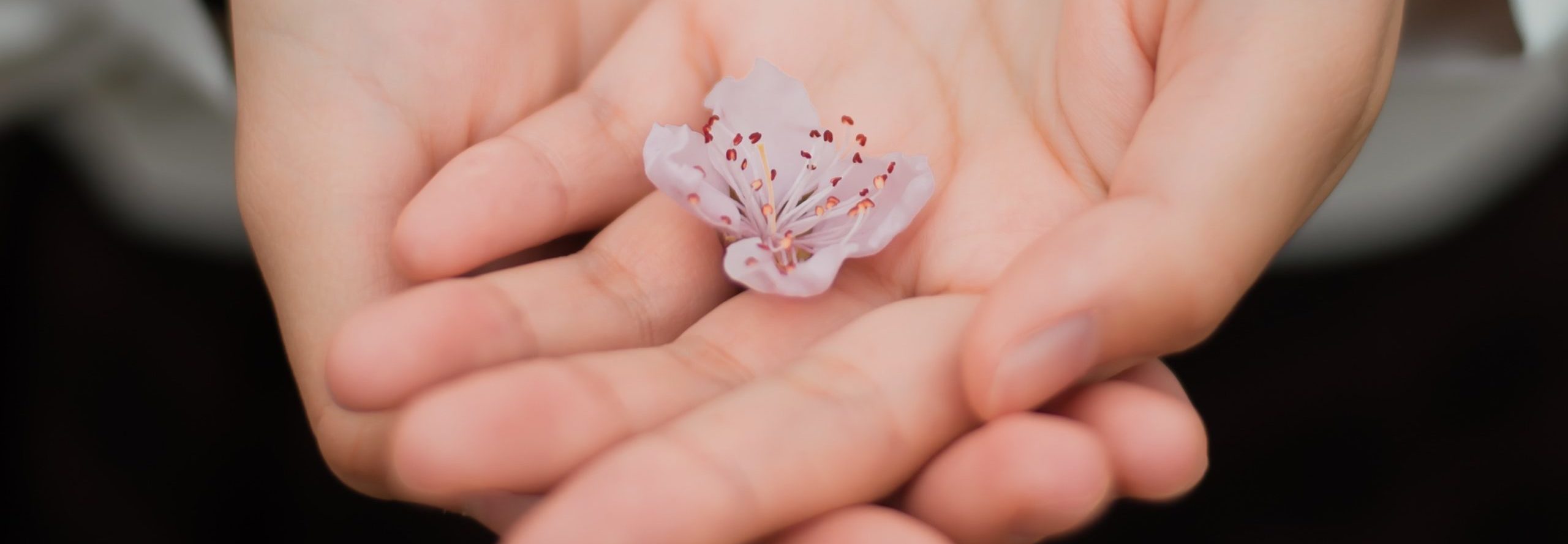 Three Essentials for Leadership in the Time of Coronavirus