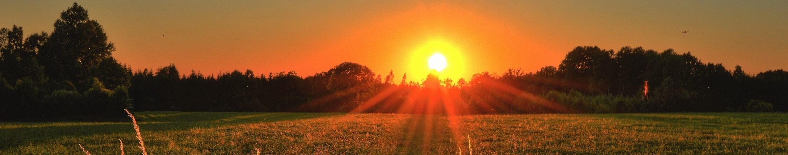 Grieving and Rejoicing