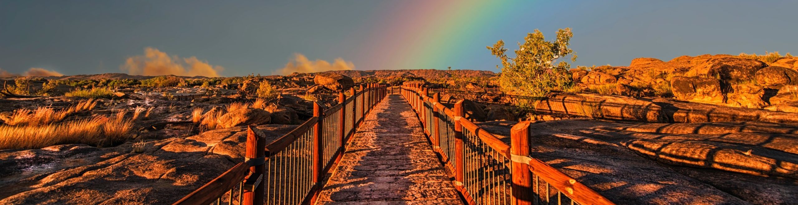 Step by Halting Step: Leadership in Uncertain Times