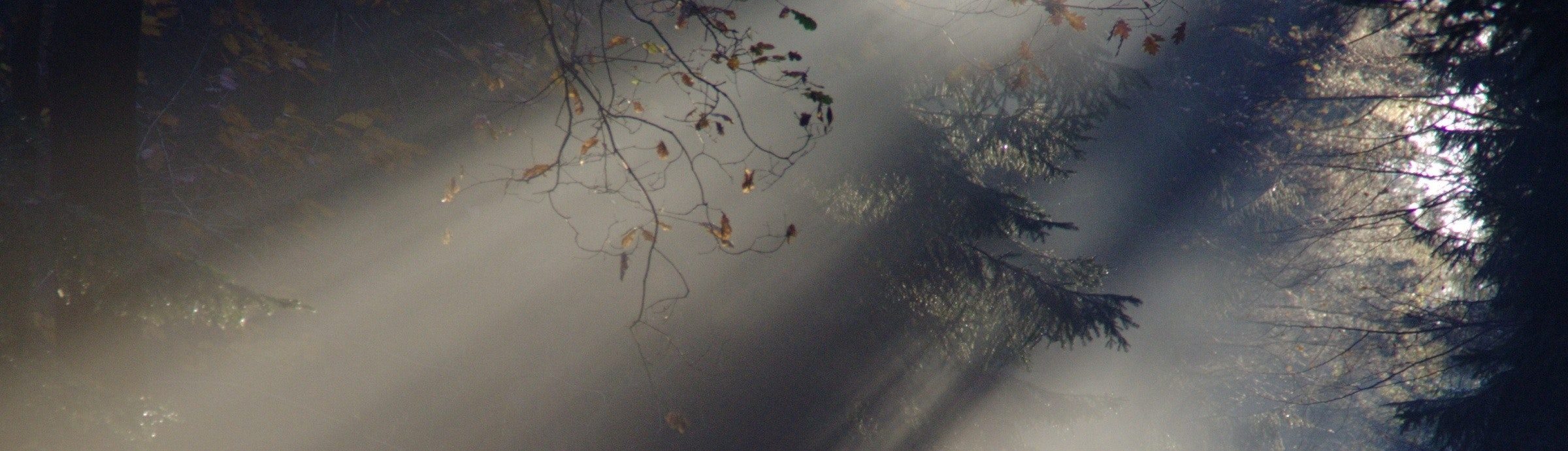 Letting the Light In