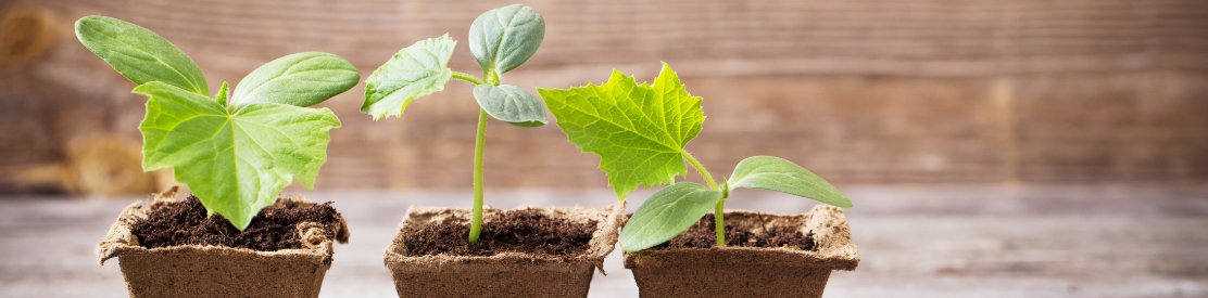 Three Leadership Lessons from John Woolman