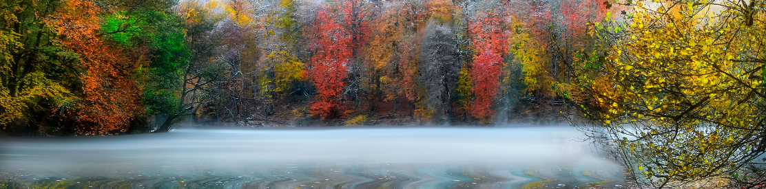 The Challenge of this Special Time