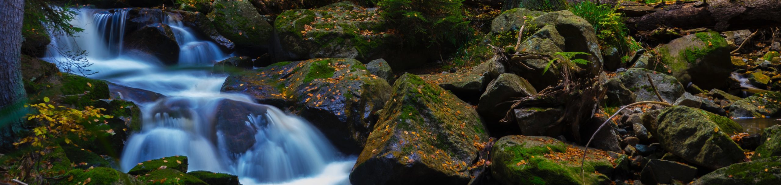 Thoughts on Spiritual Direction