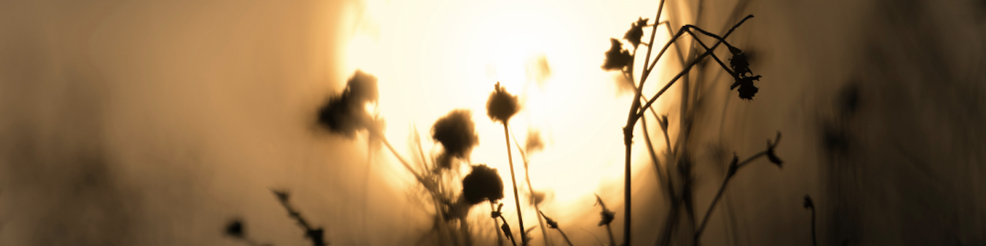 Cultivating Basic Trust in a Time of Uncertainty