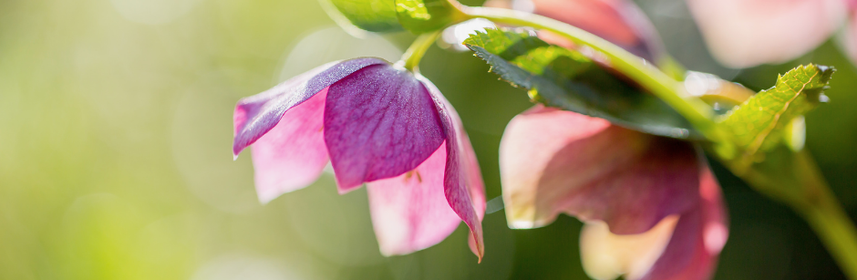 Life Goes Wide Within Me