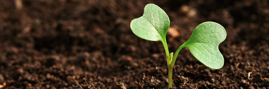 Recalibrating Humility