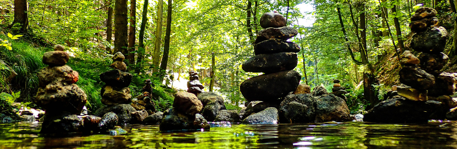 Grounding in Gratitude