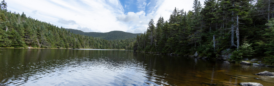 Expanding Into a New Call