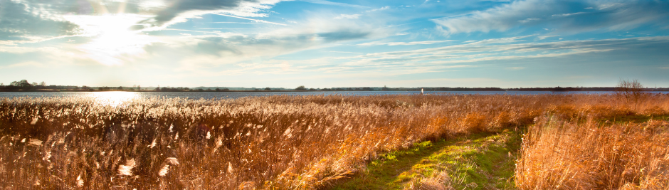 Beyond the List of “Shoulds”: Receiving God’s Invitation