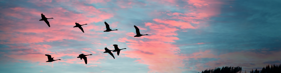 New Rhythms of Grace