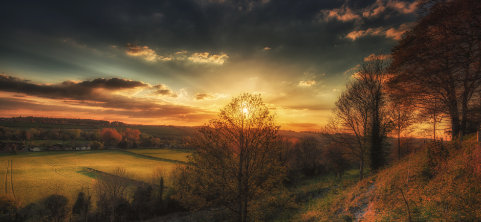 Burning Bushes Everywhere